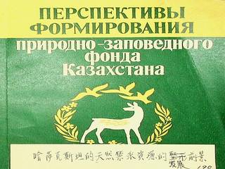 数据缩略图