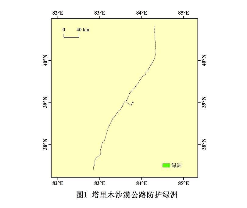 数据缩略图