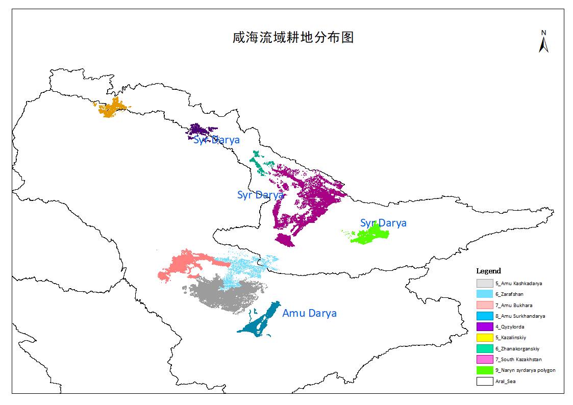 数据缩略图