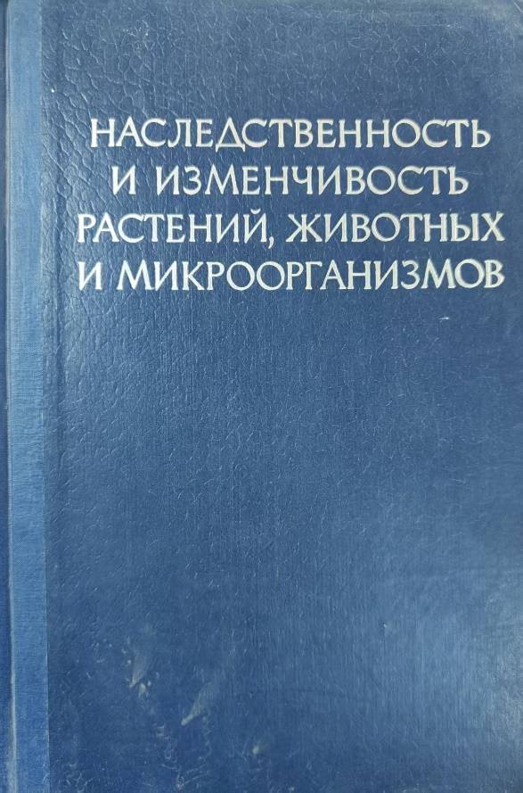 数据缩略图