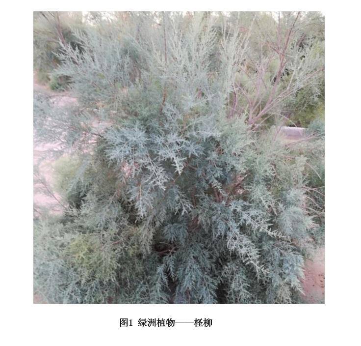 数据缩略图